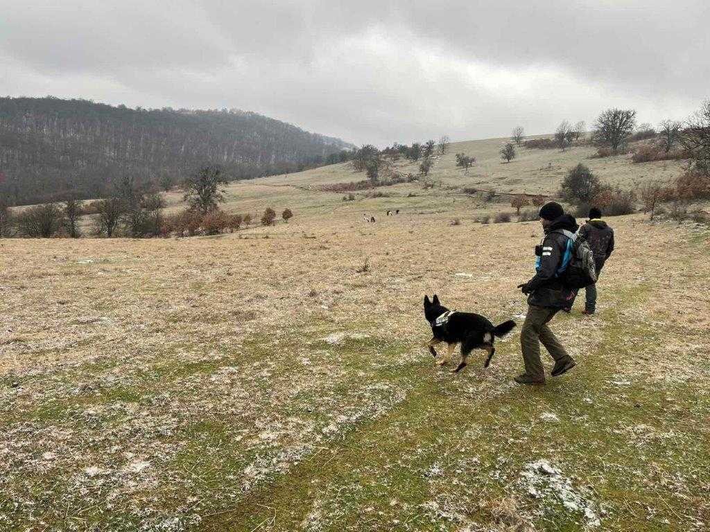 мосв призовава добро прилагане закона отровителството птици