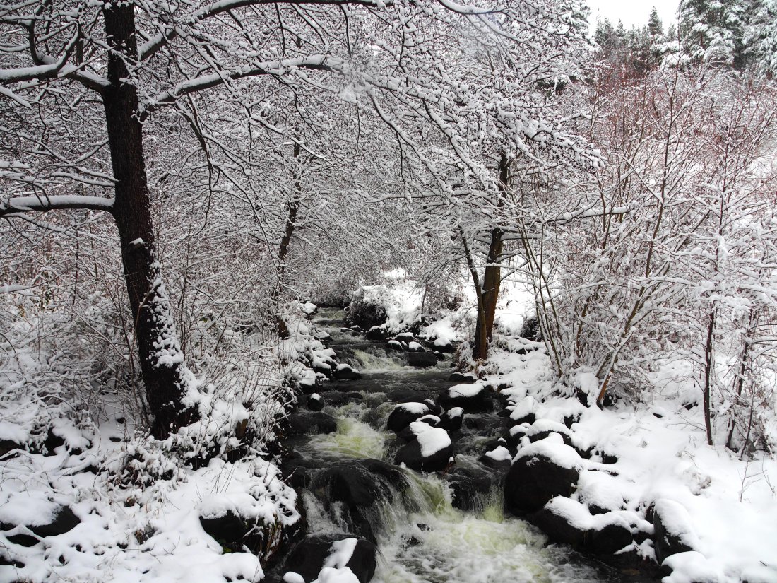 Днес ще бъде предимно слънчево, ще духа умерен североизточен в
