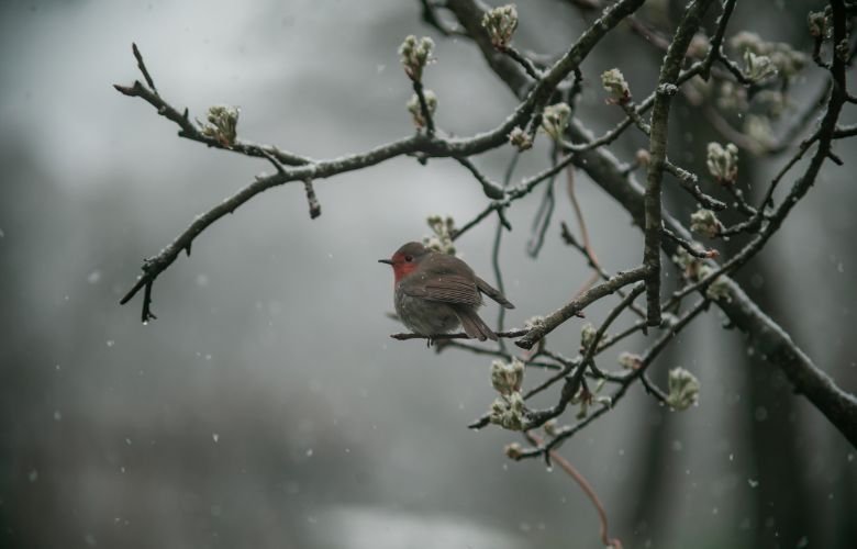 През нощта на много места в Централна България ще има