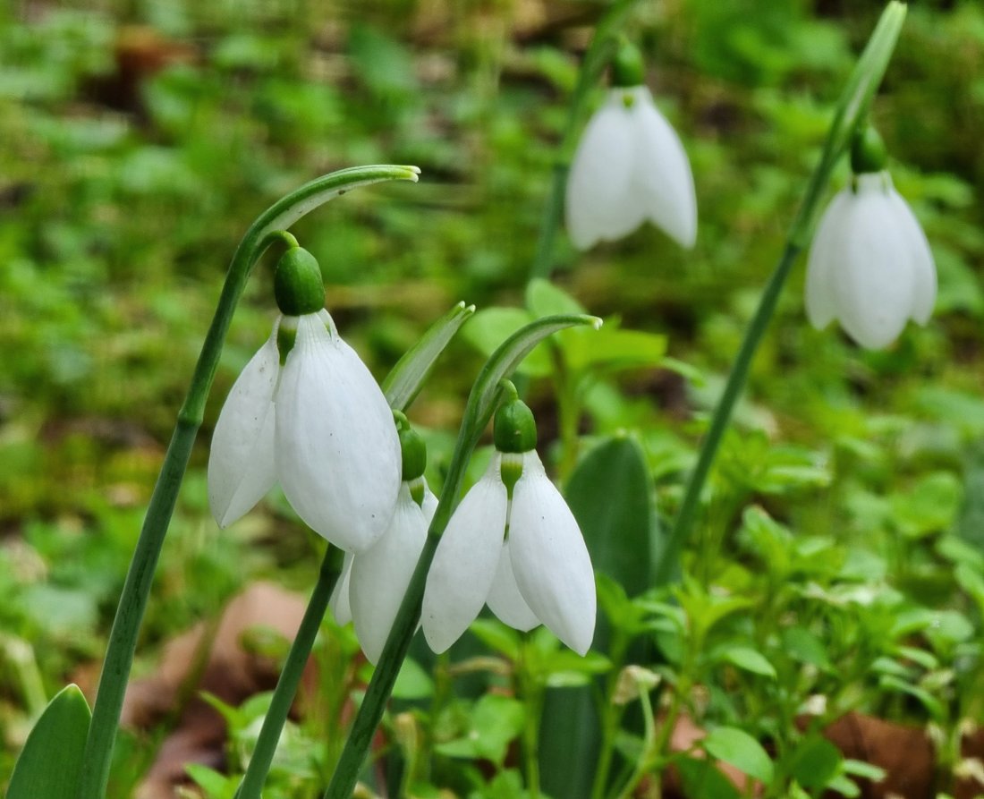 Продължава да вали в почти цялата страна. С умерен и