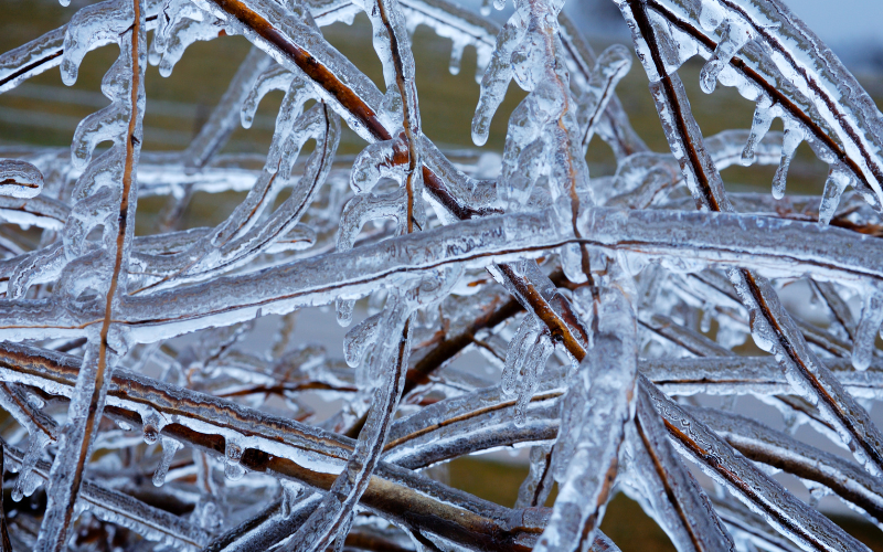 Сутринта на отделни места в котловините и низините ще бъде
