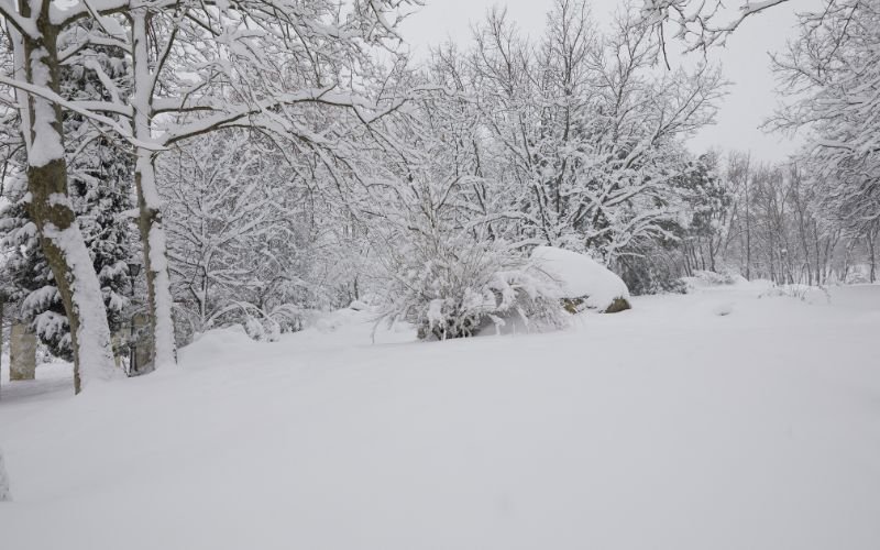 рязка промяна времето неделя сняг виелици навявания