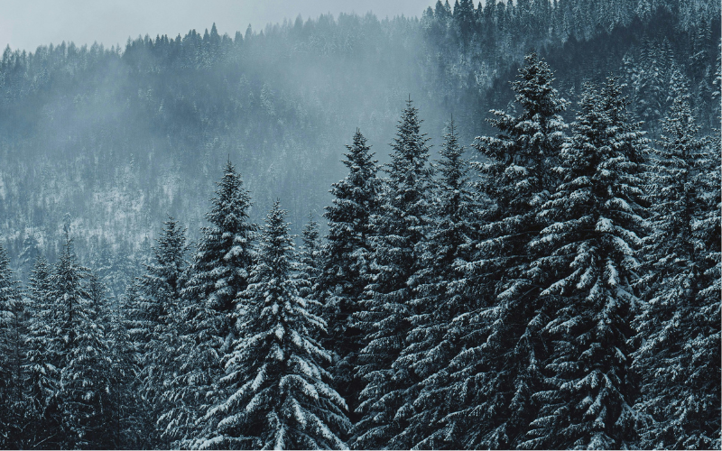 През нощта облачността над цялата страна ще се увеличи и