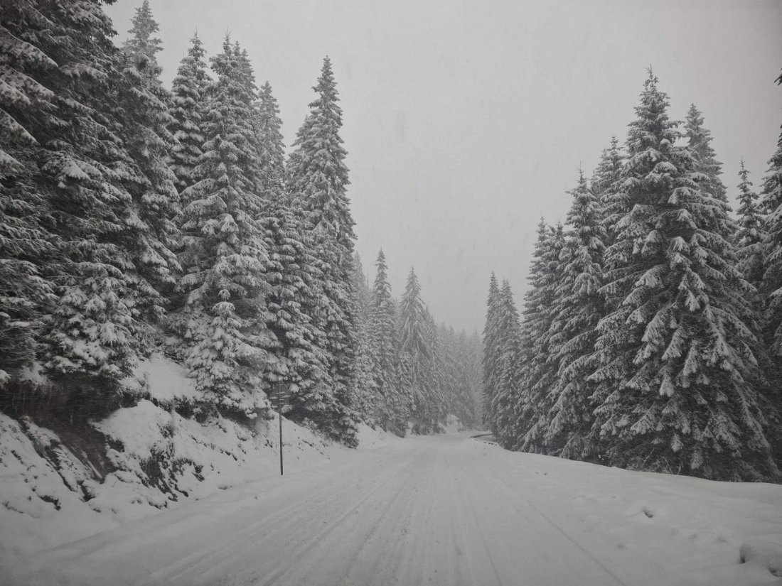 Обилен сняг вали в Родопите и бързо натрупва нова снежна