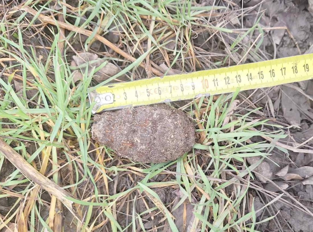 Унищожиха корозирала ръчна граната, открита в гараж в Бургас