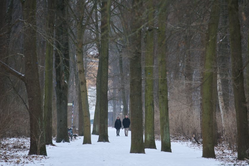 Леденостудена вълна е обхванала Германия и улиците и тротоарите на