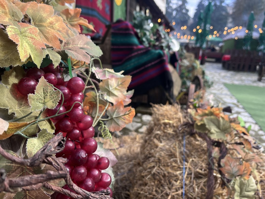 Започна 14-тото издание на фестивала "Златен грозд" в Мелник (СНИМКИ)