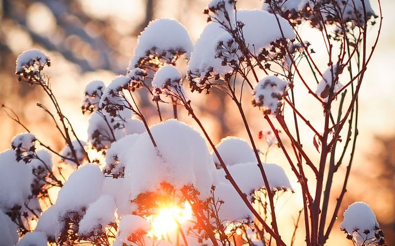 времето февруари температури минус градуса