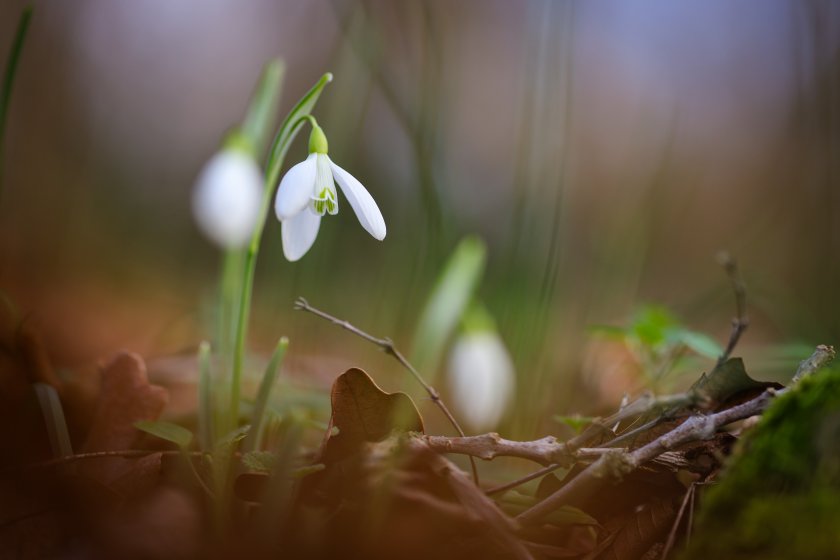 Времето ще е приказно, облачността ще продължи да намалява, вятърът