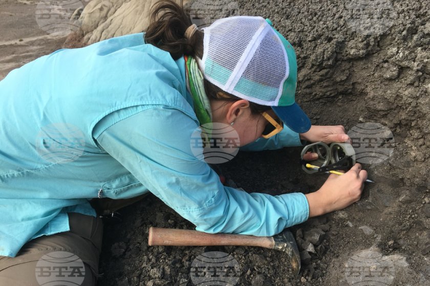 Нов вид динозавър с бодли е открит в Китай