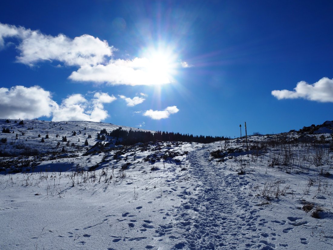 Слънчева събота с валежи от дъжд следобед