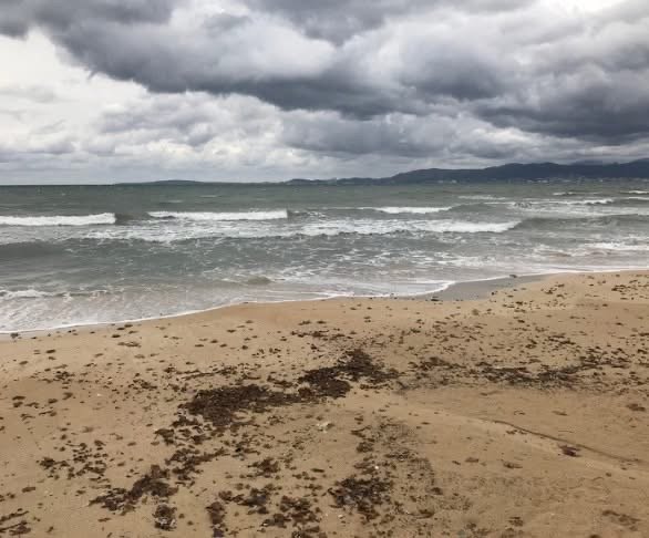 доброволци тръгват обход созопол търсене изчезналия рибарски кораб