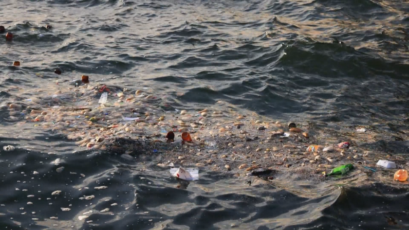 Микропластмасите: Как влияят на природата и на човешкото здраве?