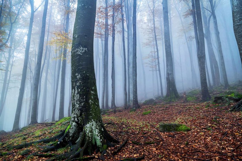 &bdquo;Път до мощите на Свети Йоан Кръстител&ldquo; &ndash; нов поклоннически и духовен път свързва Странджа и Созопол