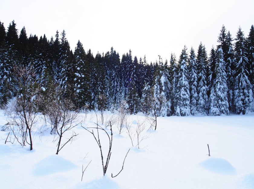 валежи дъжд сняг силен вятър сериозни температурни промени