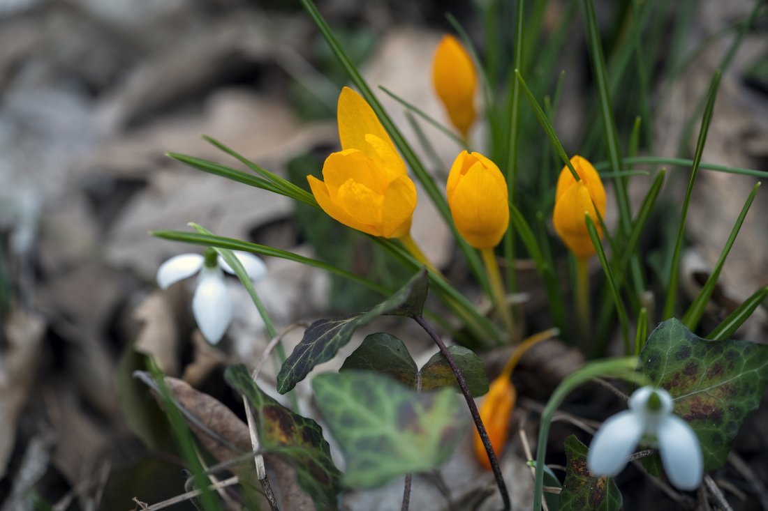 слънчево все топло време близките дни