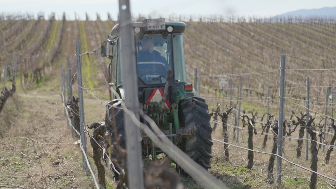 "Климатът &ndash; горещата истина": Как климатичните промени и затоплянето влияят винопроизводството в долината на река Струма?