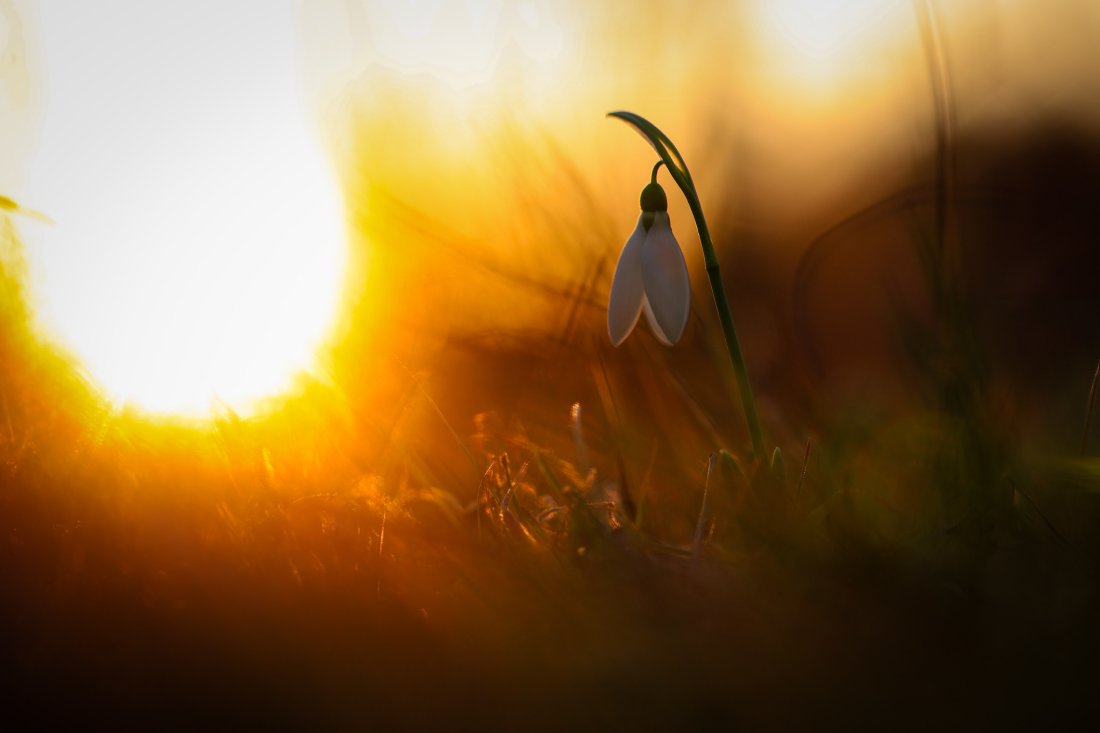 слънчево време почивните дни