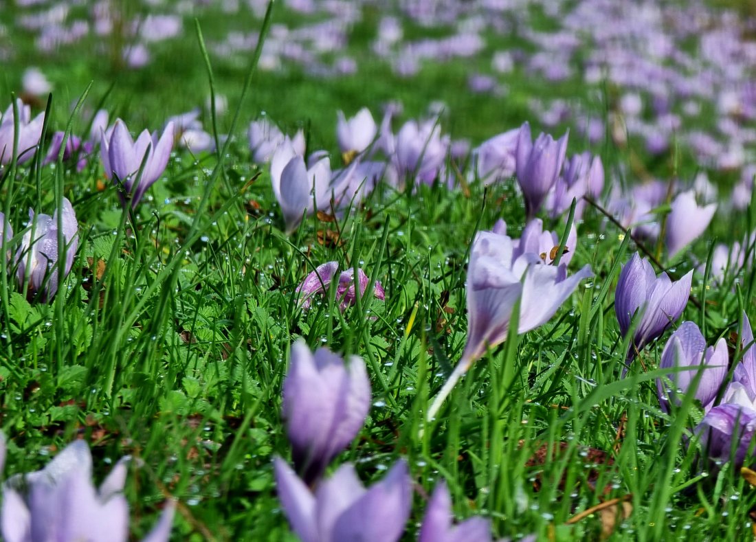 времето март температури минус градуса първия пролетен месец