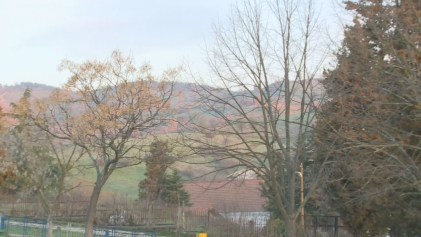 Жителите на петричкото село Старчево против изсичането на гора и изграждането на фотоволтаичен парк