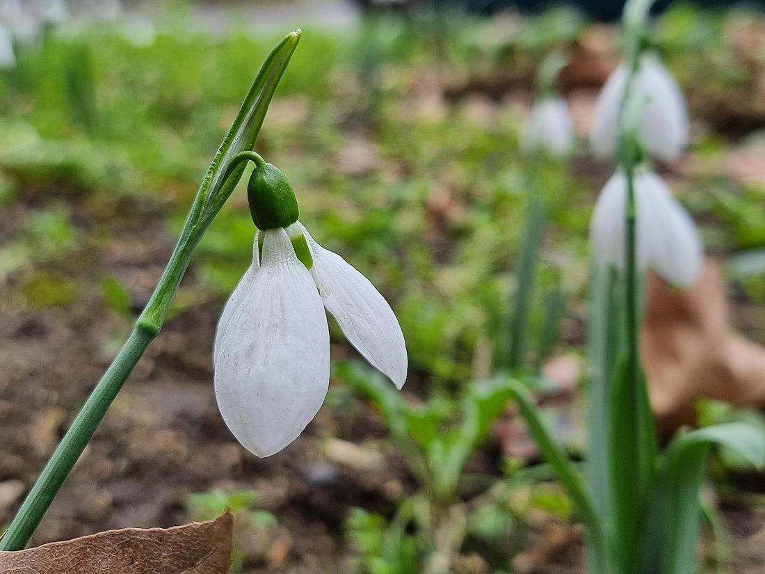 Повече слънчеви часове през почивните дни
