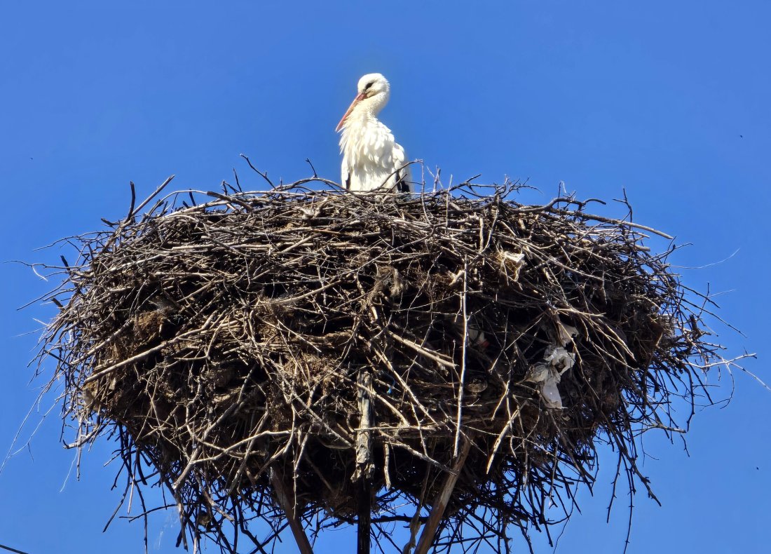 Слънчевото време продължава, понижение на температурите се очаква през новата седмица