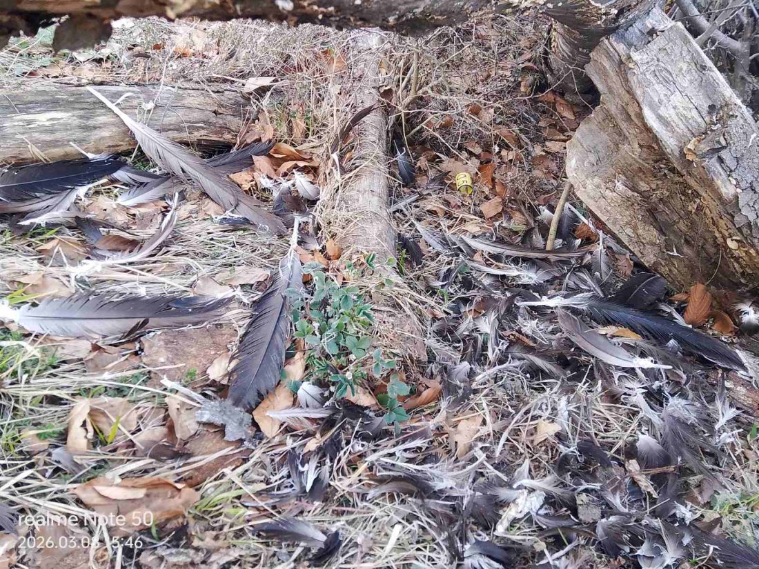 девет лешояда загинали вследствие отравянето котел януари