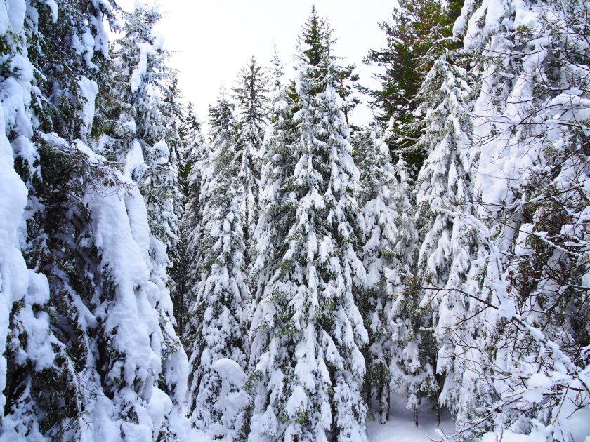 щастлива развръзка откриха четирима младежи затънали автомобил района хижа bdquoмарицаldquo