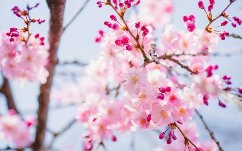 настъпи астрономическата пролет