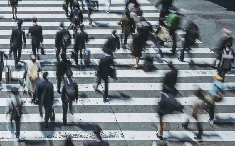 "Мяра": Кои политически сили ще намерят място в парламента, ако гласуваме сега