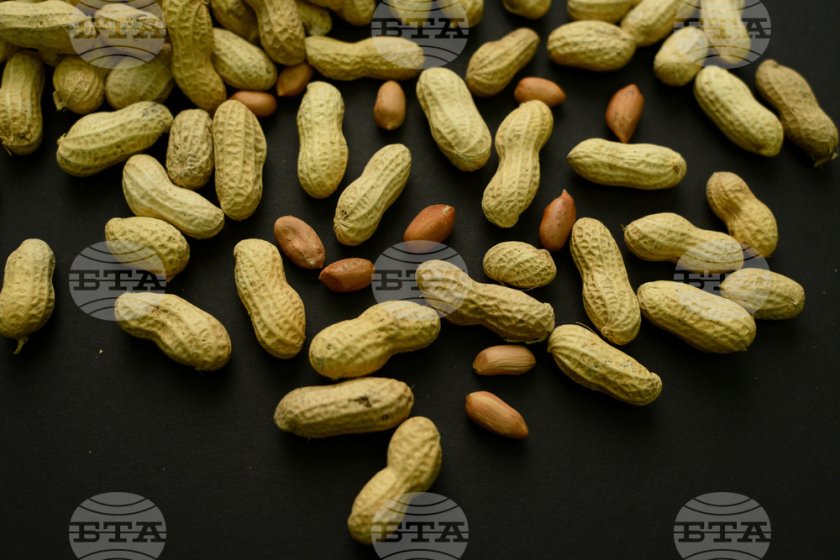 От фъстъчни черупки до &bdquo;материала на бъдещето&ldquo;