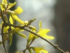 прогноза времето април