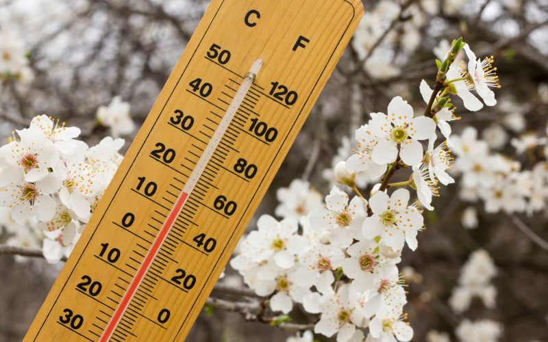 По-ниски температури от обичайните за края на месец март
