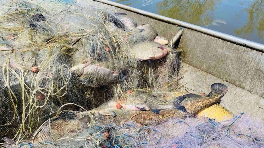 акция иара намериха 300 риба бракониерски мрежи язовир мандра бургас