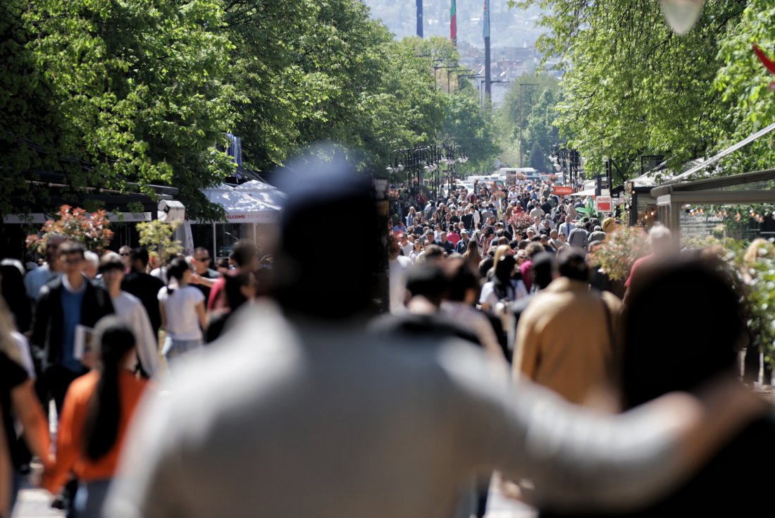 "Алфа Рисърч": Очаква се по-висока избирателна активност, над 3,3 млн. българи ще отидат до урните