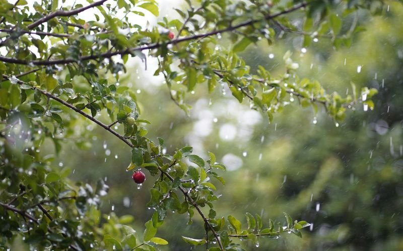 облачна дъждовна неделя понеделник валежите спират