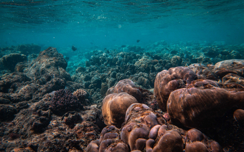 учени откриха скрит източник метан океана