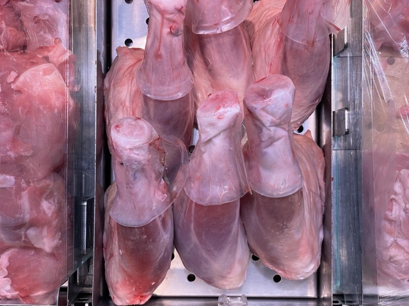 Агнешкото за Гергьовден: Очаква се цената да бъде между 15 и 18 евро