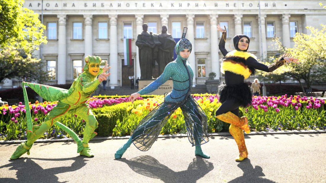 цирк дьо солей отново българия седем представления нас зрелищна програма