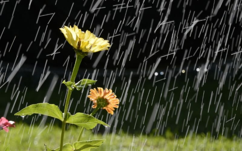 Код жълто за валежи в сряда