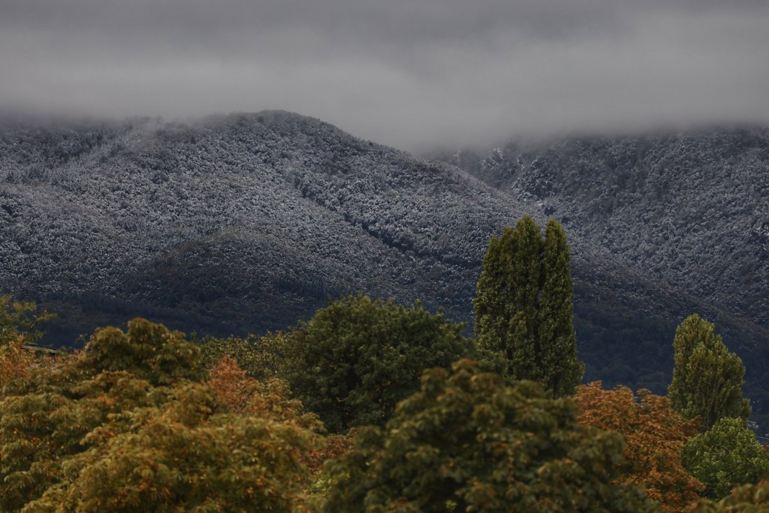 екоминистерство прекрати процедурата актуализация плана управление витоша