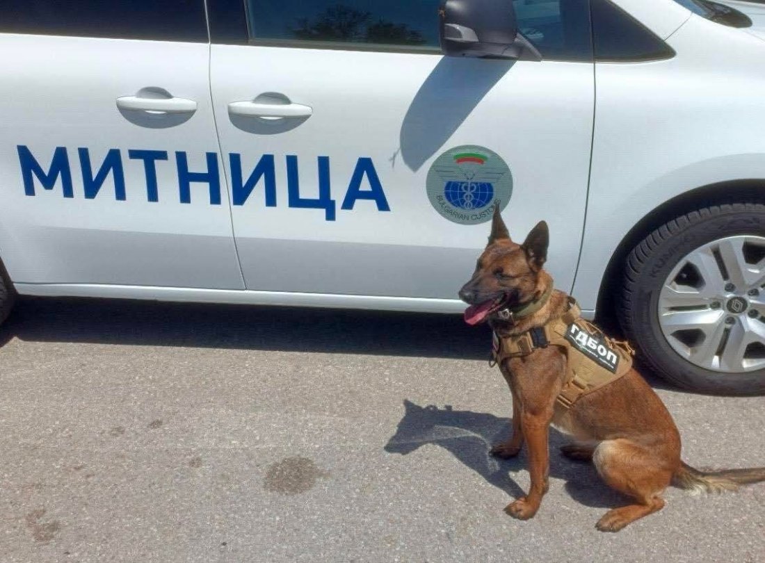 В края на април на ГКПП Капитан Андреево се проведе
