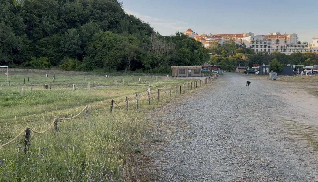 Прокуратурата в Бургас се самосезира за гората край Синеморец