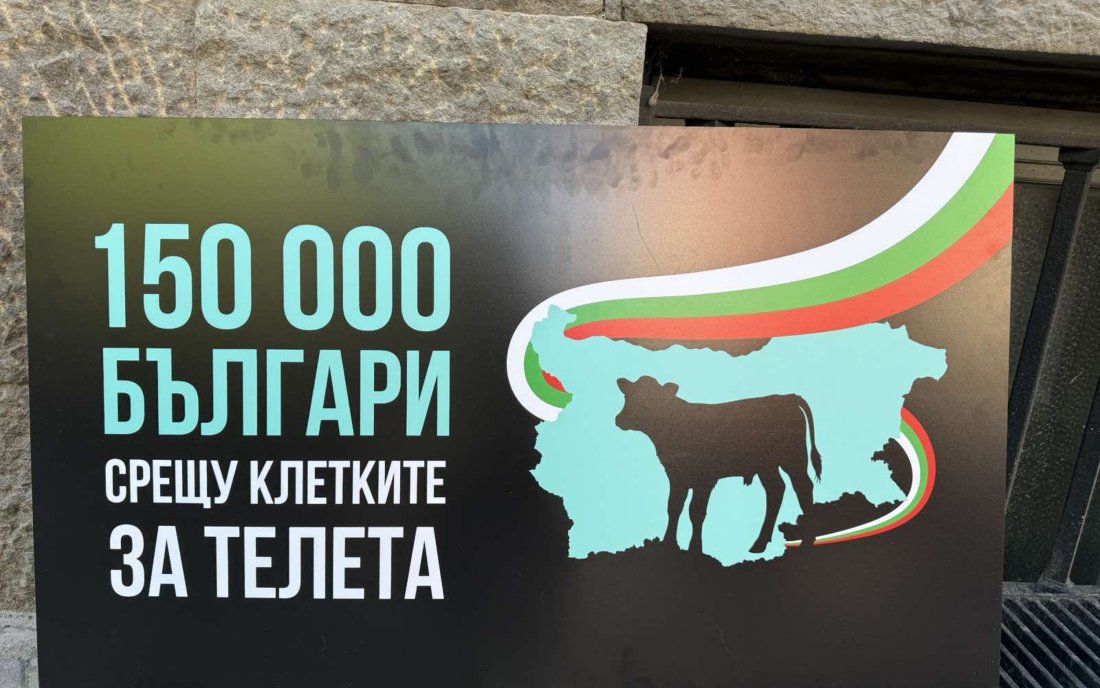 Граждани внесоха петиция в Народното събрание с искане да не