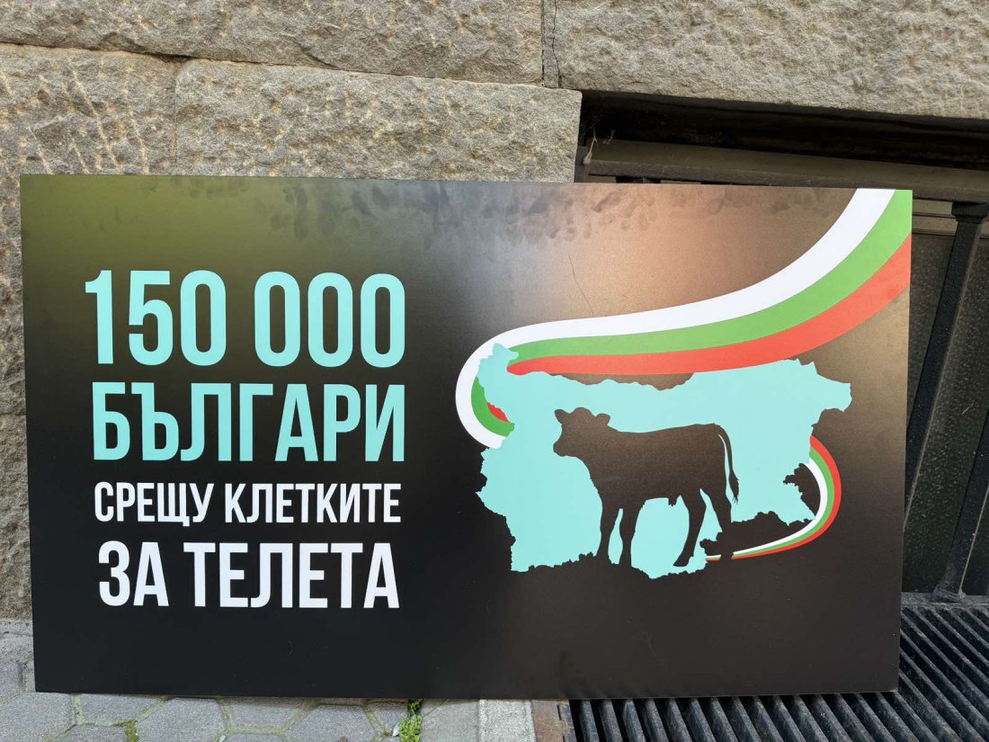 Граждани внесоха петиция в Народното събрание с искане да не