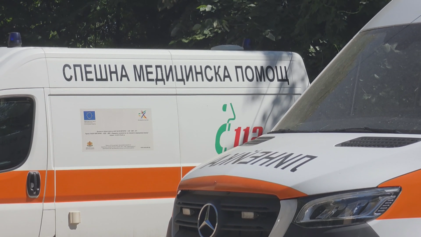 сигнал системен побой годишно дете разследват монтана