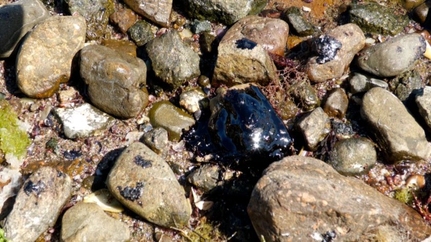 рзи бургас мазута плажовете пробите морето показват замърсяване водата