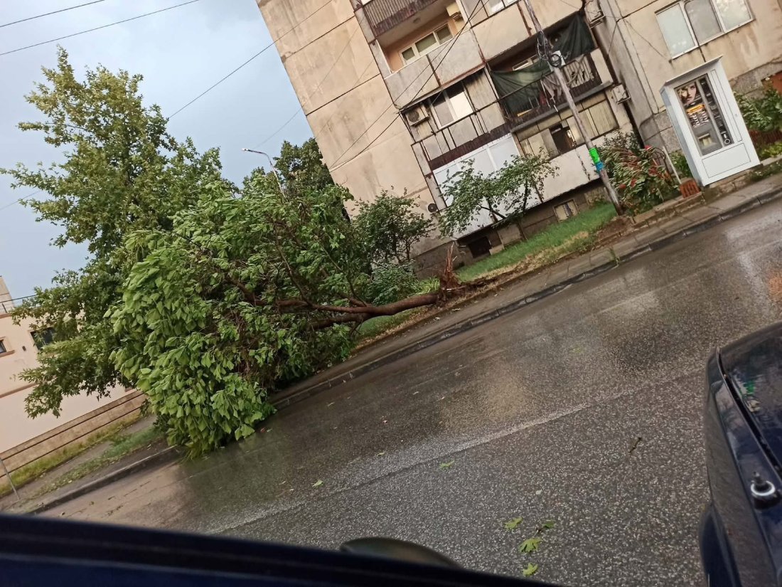 Силна буря се разрази в Петрич, предизвиквайки щети