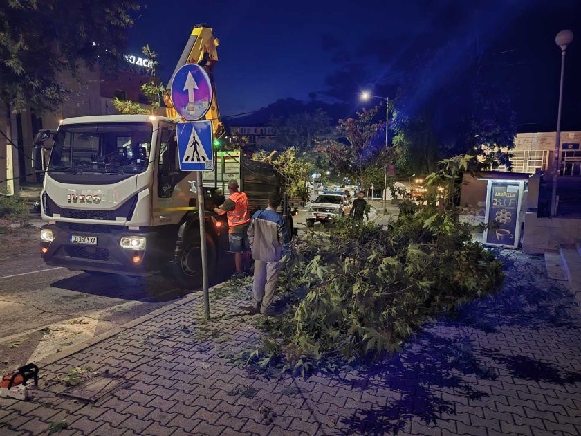 Силна буря, придружена с проливен дъжд и ураганен вятър, се