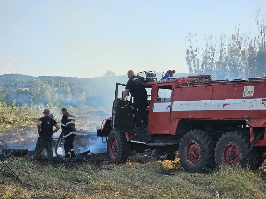 Само 30 горски пожара в Югозападна България от началото на годината, най-рисковият месец предстои
